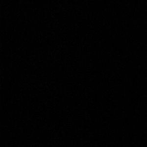 Meet your Posher, Lexi